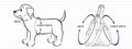 all dogs products all cats products all small animal products