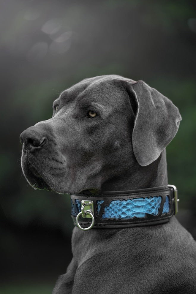 all dogs products all cats products all small animal products