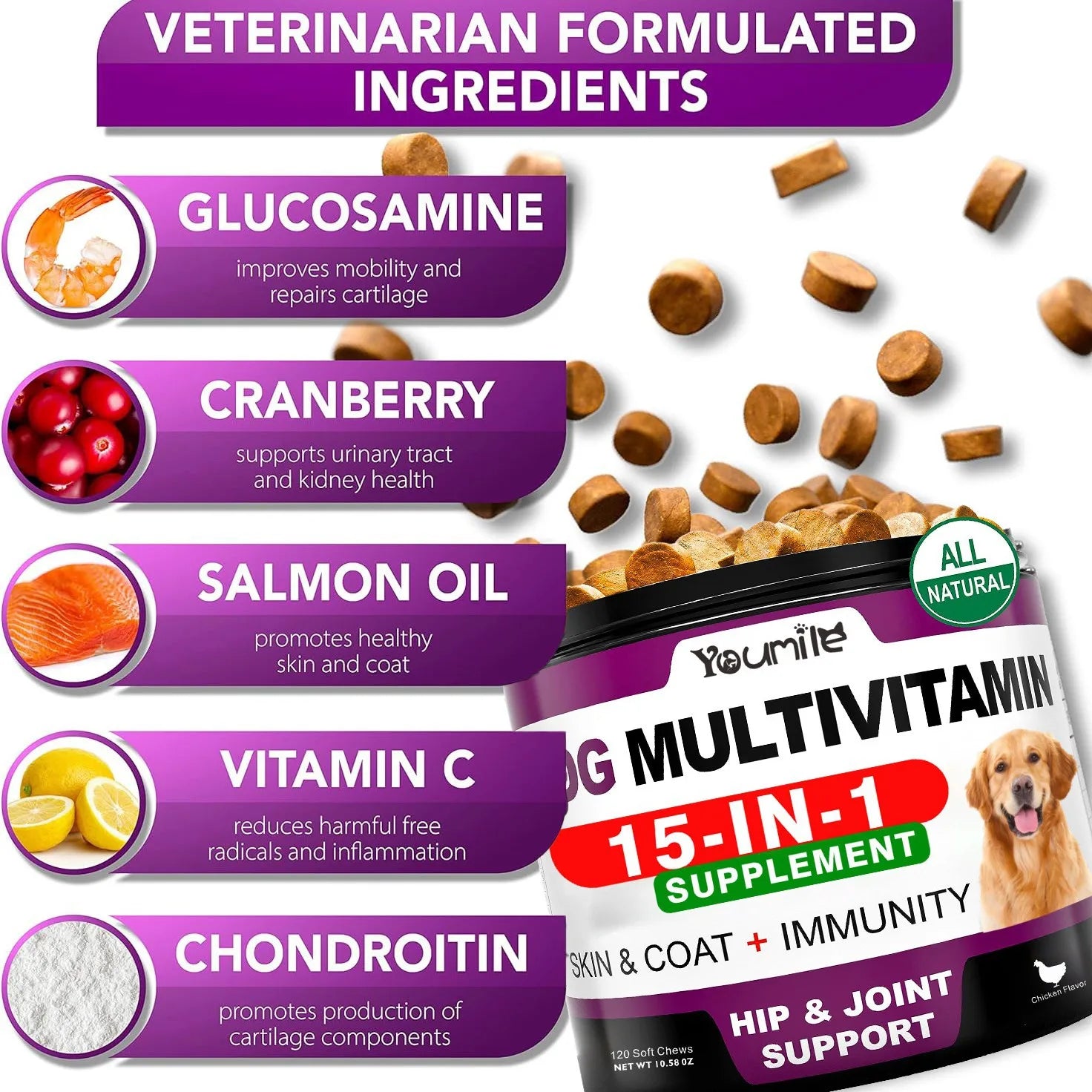 Senior & Puppy Dog Multivitamin Supplement Multi Vitamins Chicken Flavor Chews for Pet Joint Immunity Mobility Energy Gut Skin