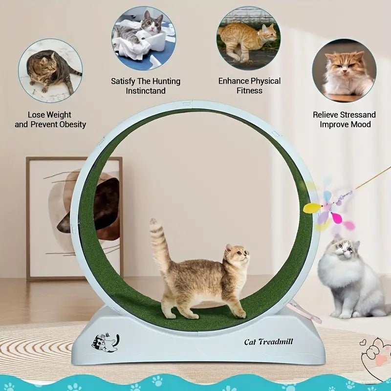 all dogs products all cats products all small animal products