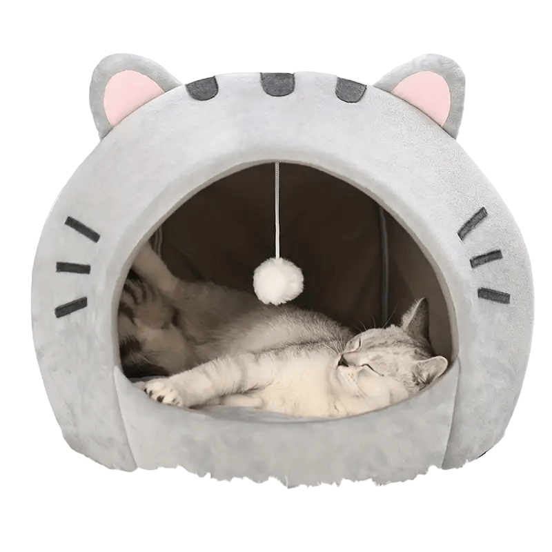 all dogs products all cats products all small animal products