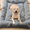 all dogs products all cats products all small animal products