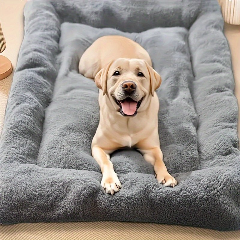all dogs products all cats products all small animal products