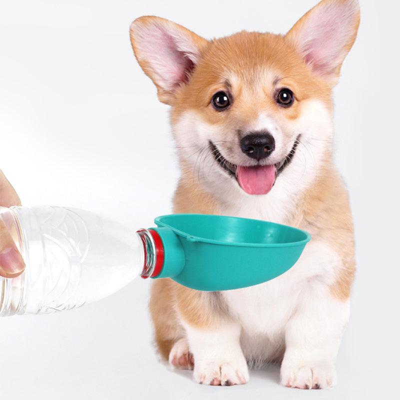 all dogs products all cats products all small animal products