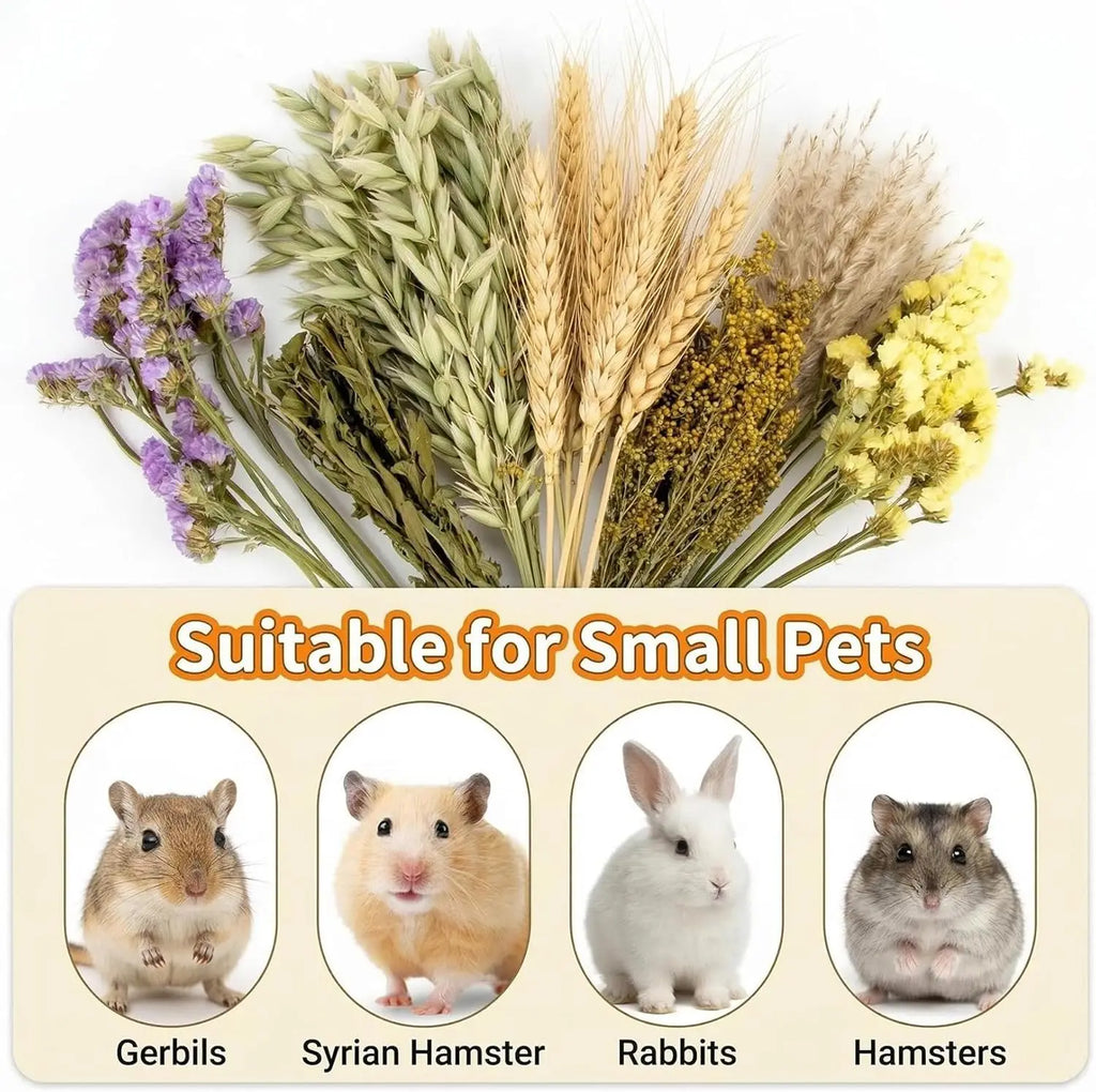 42Pcs Natural Dried Flowers Hamster Bedding Decor - Safe Herbs Sprays for Small Pet Cage Hideout