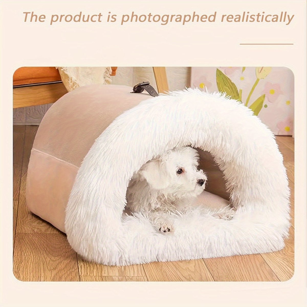 all dogs products all cats products all small animal products