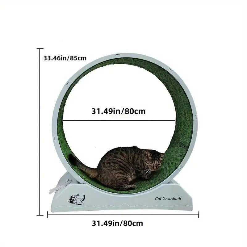 all dogs products all cats products all small animal products