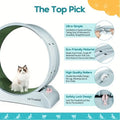 all dogs products all cats products all small animal products