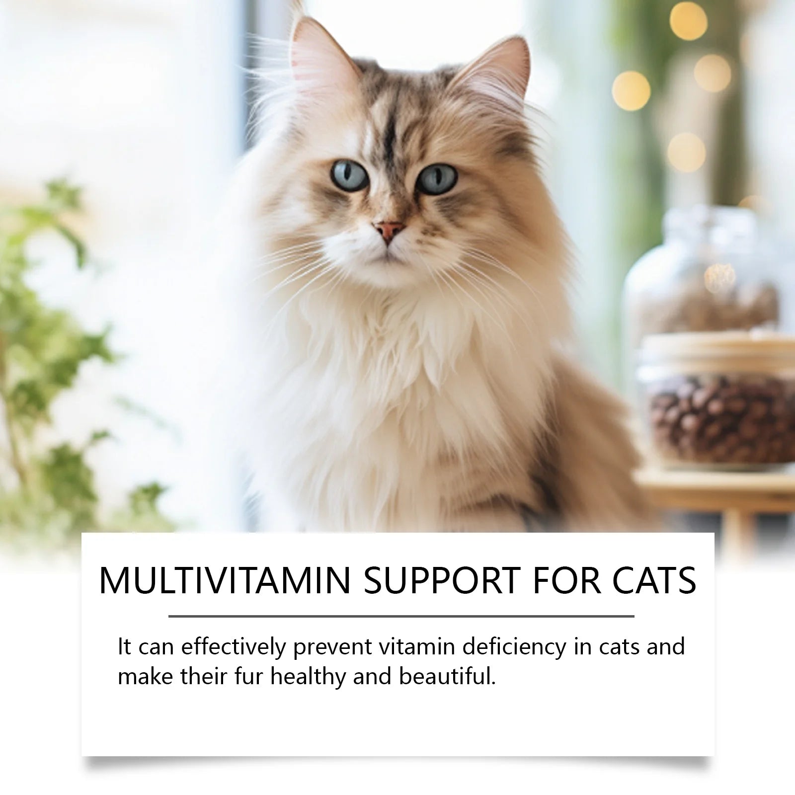 Pet cat multivitamin tablets, cat vitamin and trace element nutritional supplements