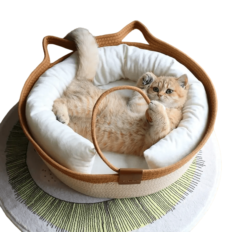 all dogs products all cats products all small animal products