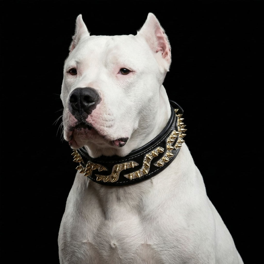all dogs products all cats products all small animal products