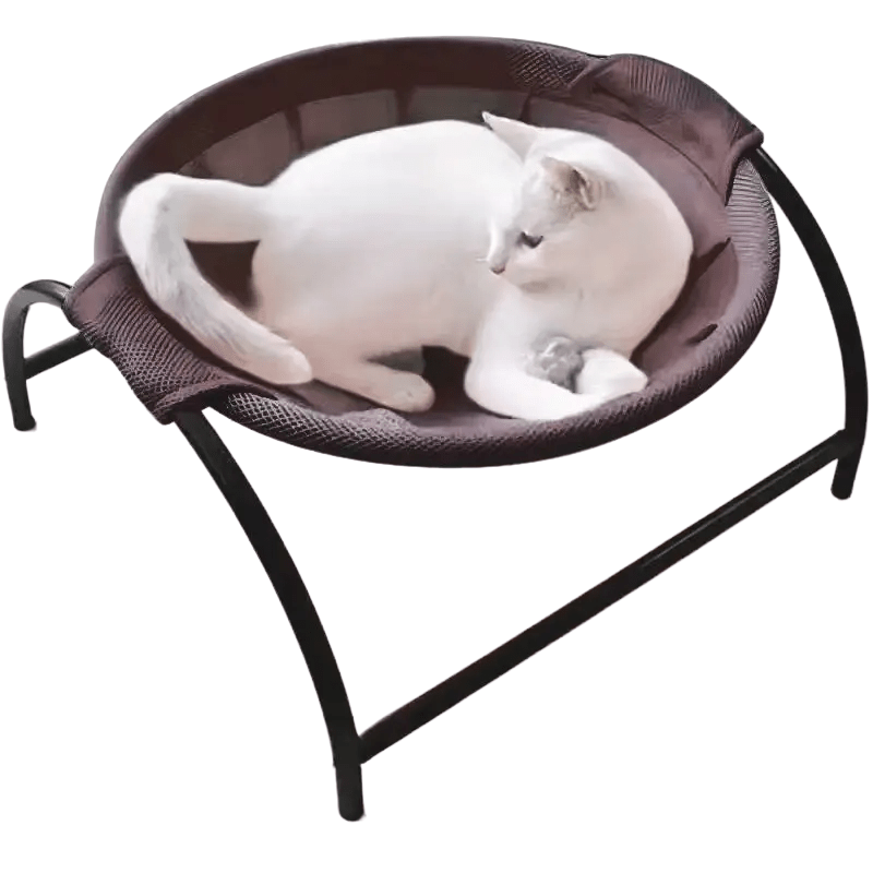 all dogs products all cats products all small animal products