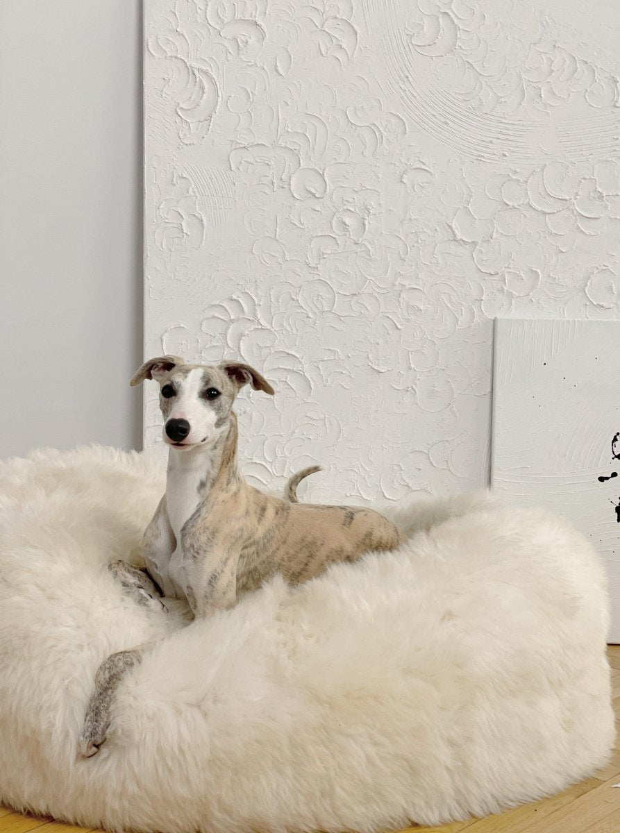all dogs products all cats products all small animal products