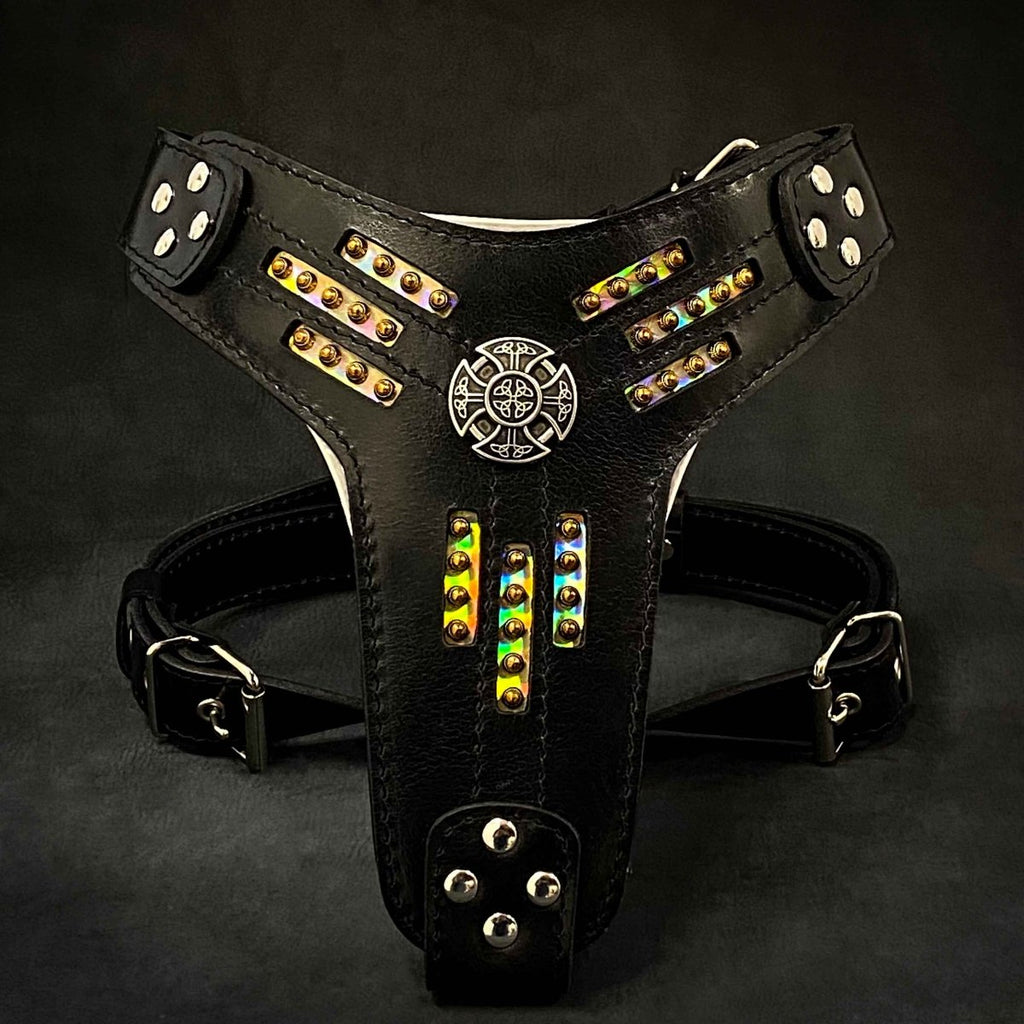 all dogs products all cats products all small animal products