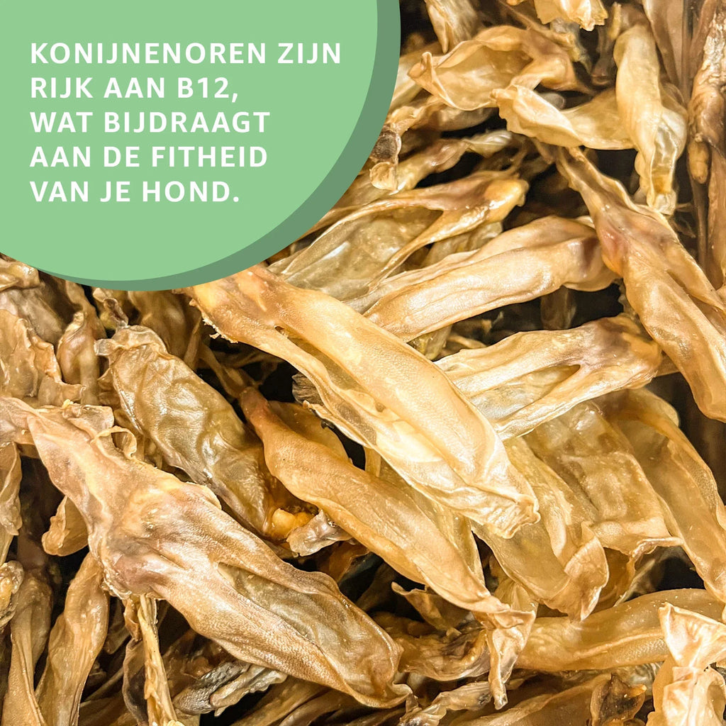 Konijnenoren zonder haar
