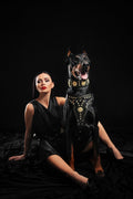 all dogs products all cats products all small animal products