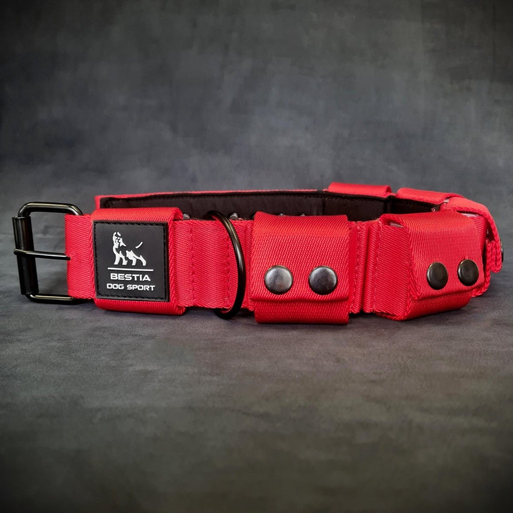 all dogs products all cats products all small animal products
