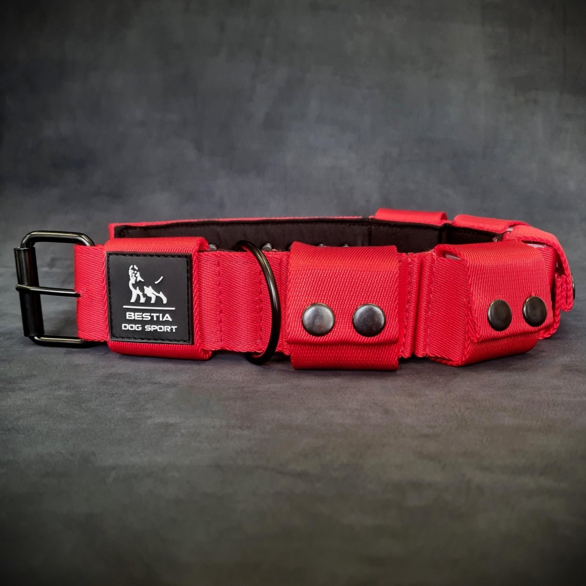 all dogs products all cats products all small animal products