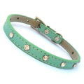 all dogs products all cats products all small animal products