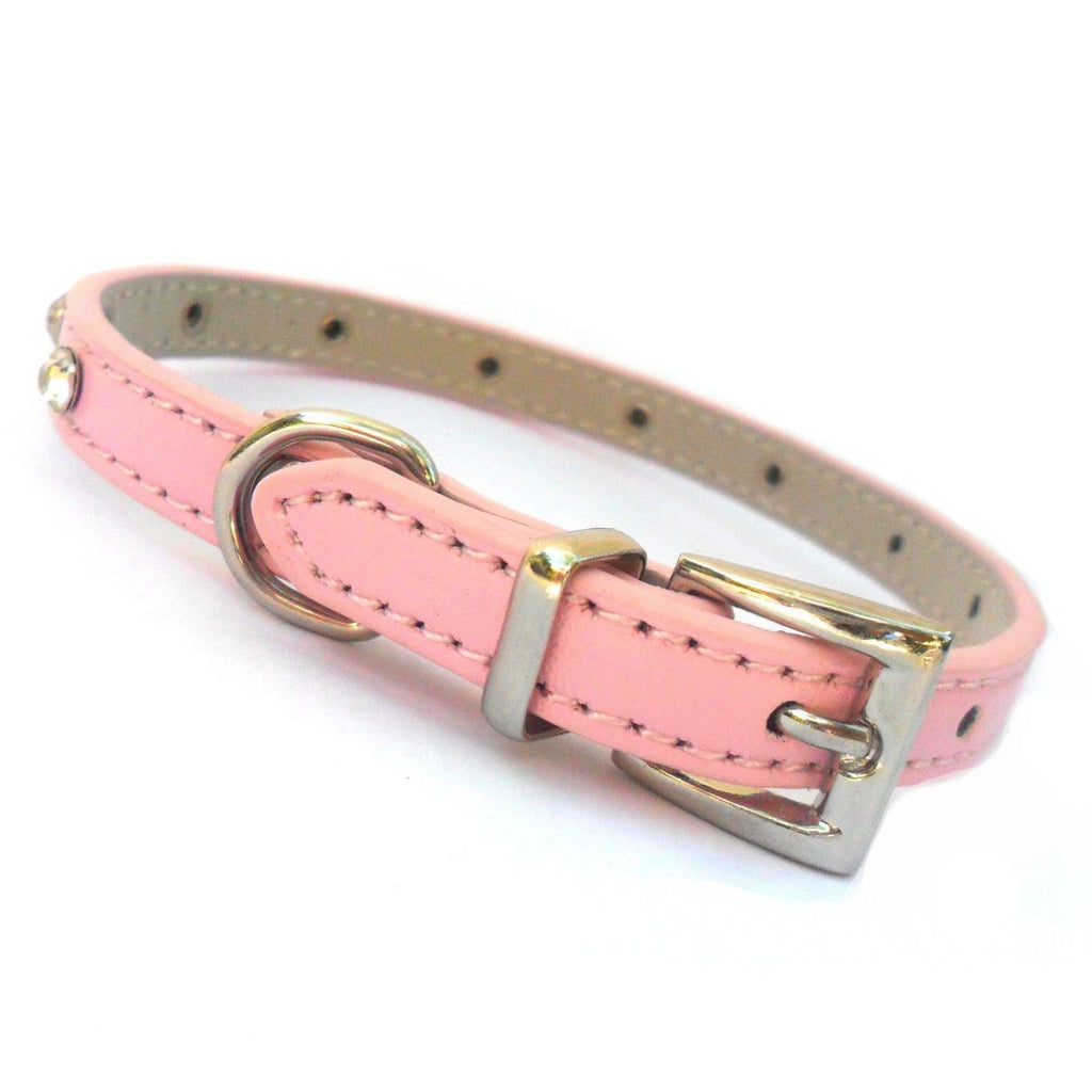 all dogs products all cats products all small animal products