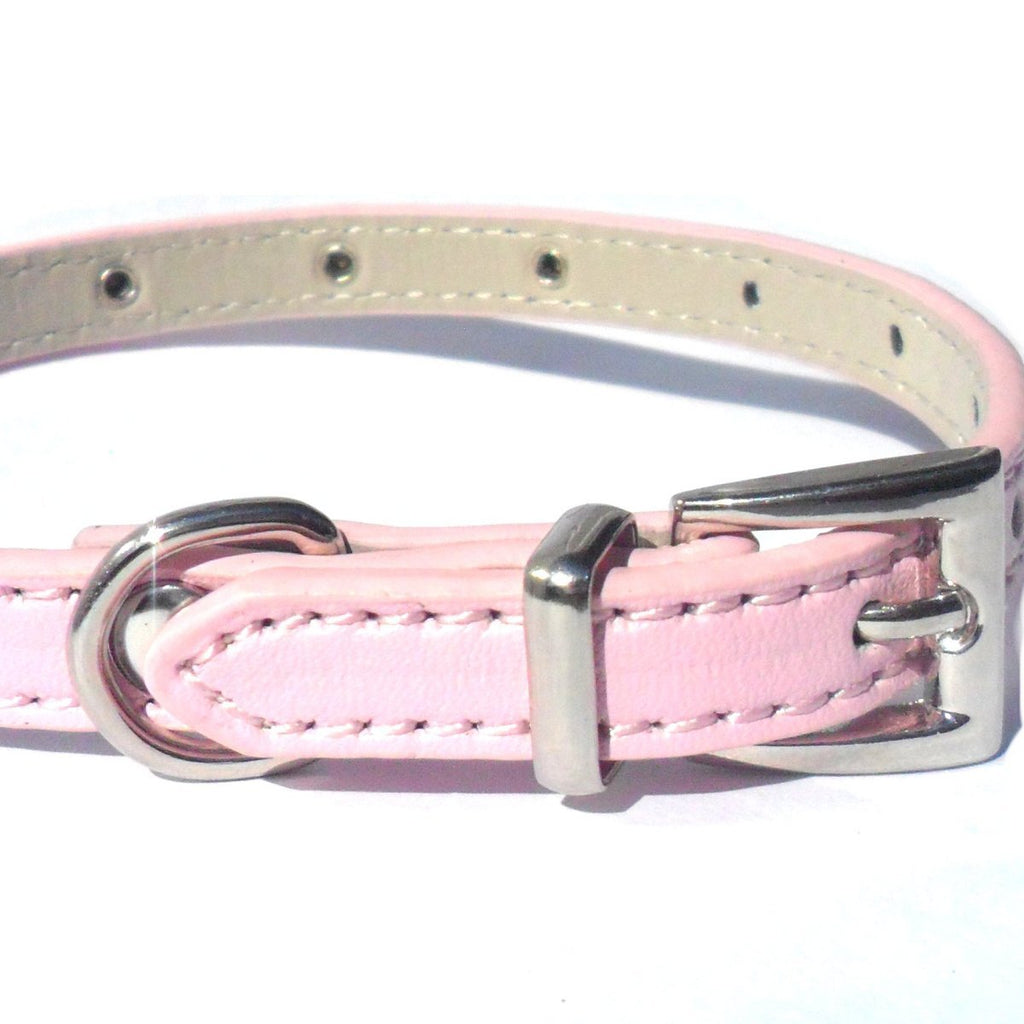 all dogs products all cats products all small animal products