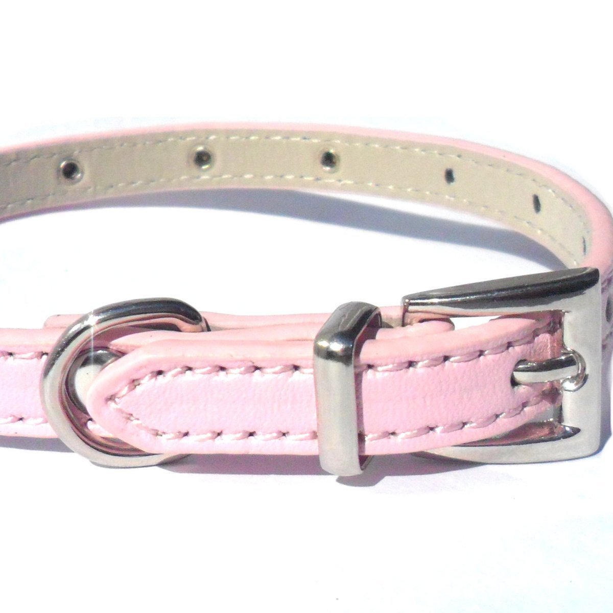 all dogs products all cats products all small animal products