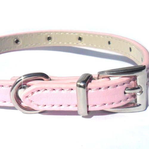 all dogs products all cats products all small animal products