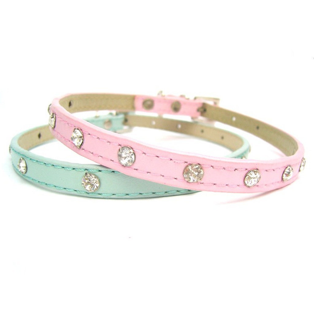 all dogs products all cats products all small animal products