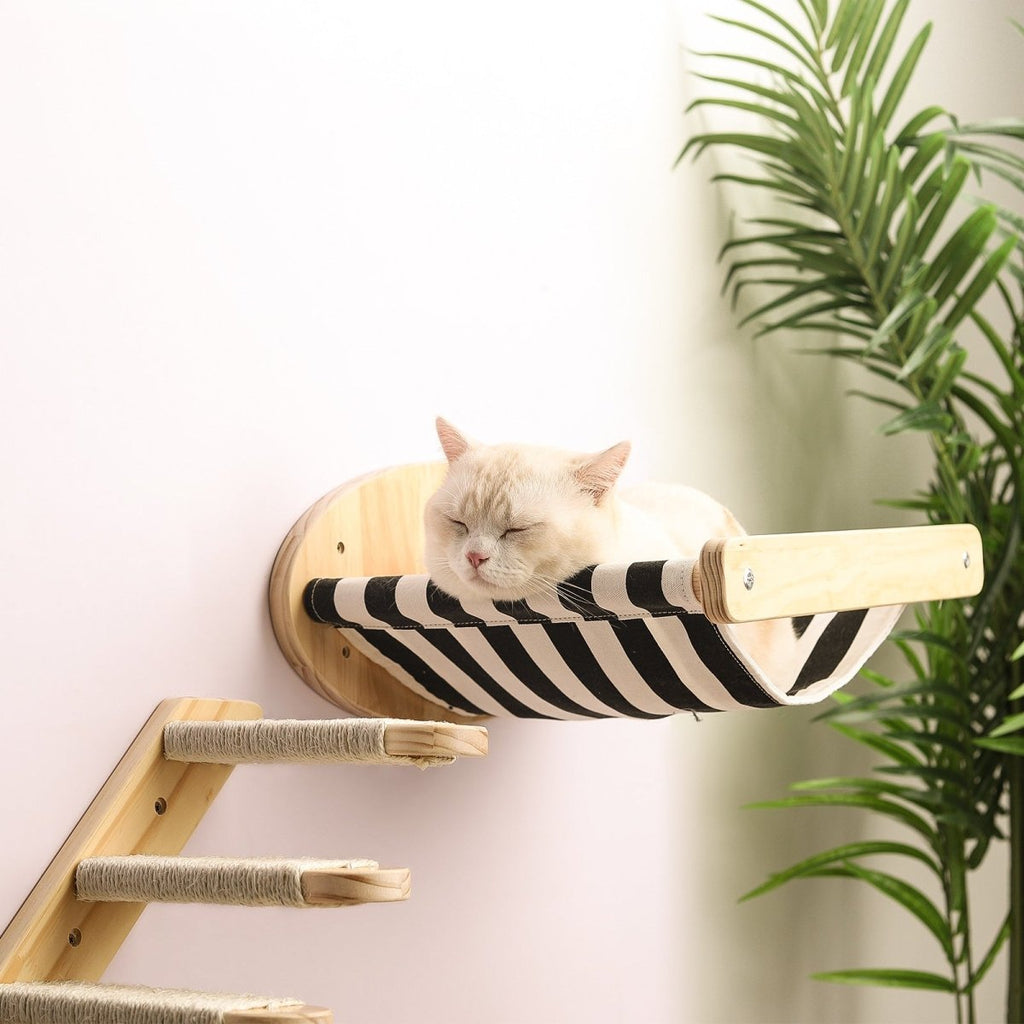 all dogs products all cats products all small animal products