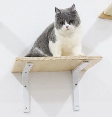 all dogs products all cats products all small animal products