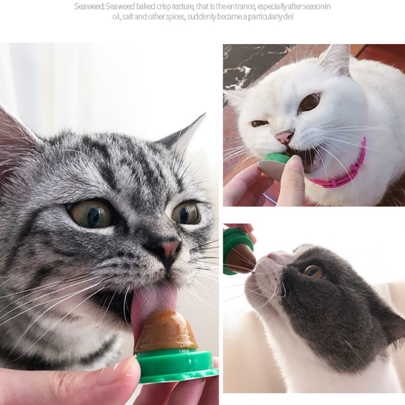 all dogs products all cats products all small animal products
