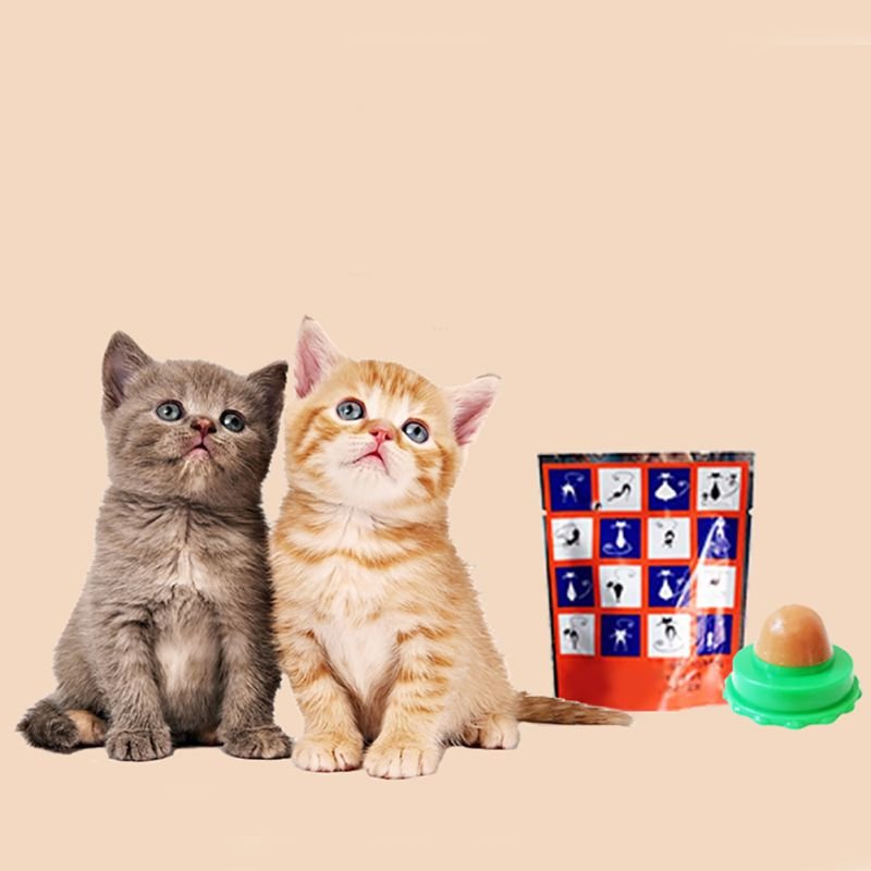 all dogs products all cats products all small animal products