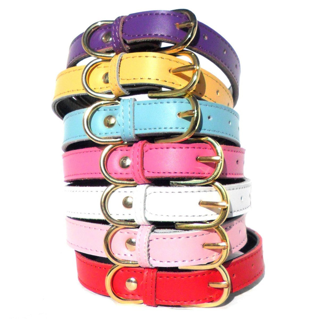 all dogs products all cats products all small animal products
