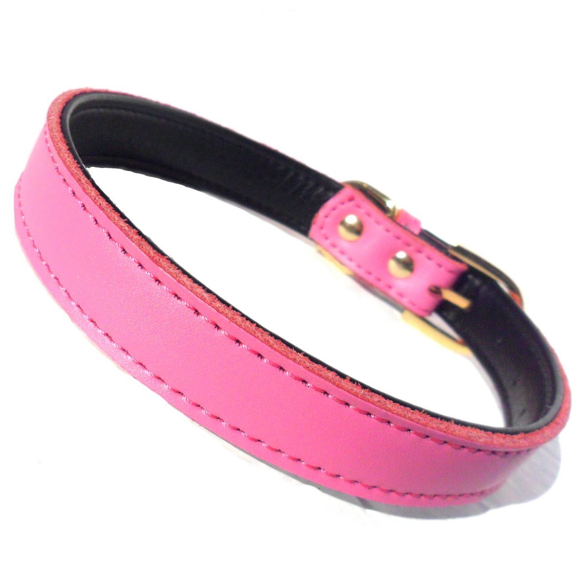 all dogs products all cats products all small animal products