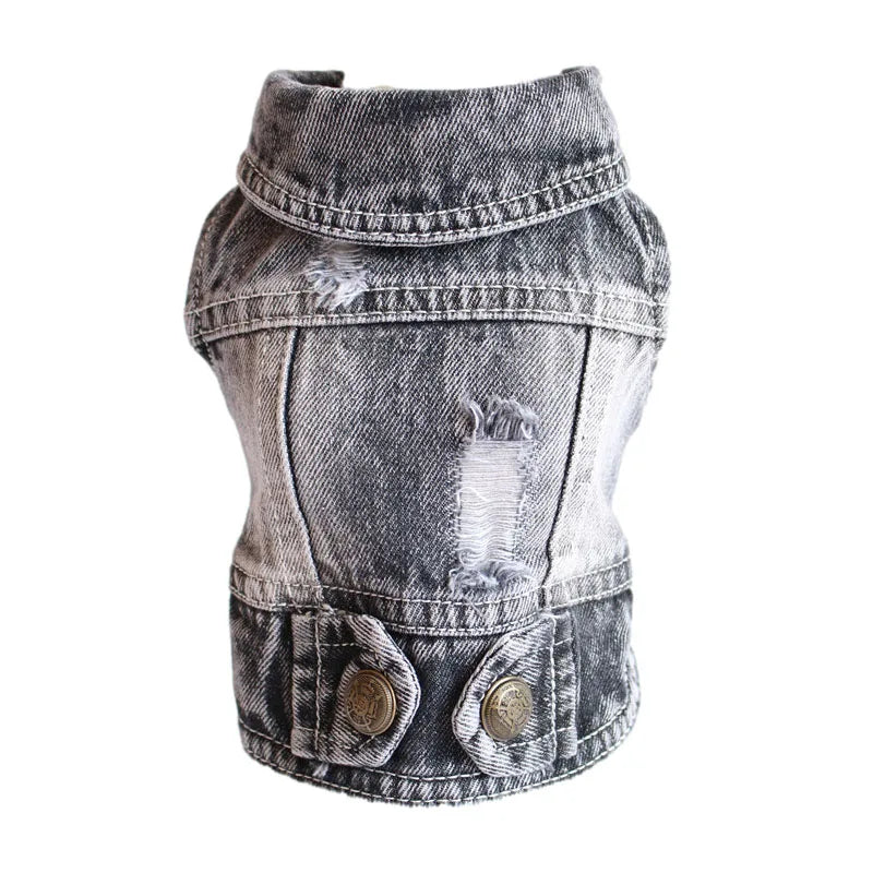 Cool Jeans Jacket for Small Dogs