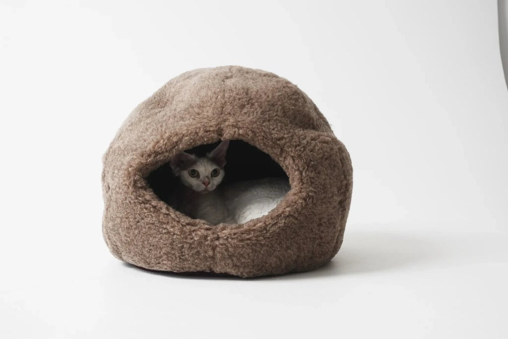 all dogs products all cats products all small animal products