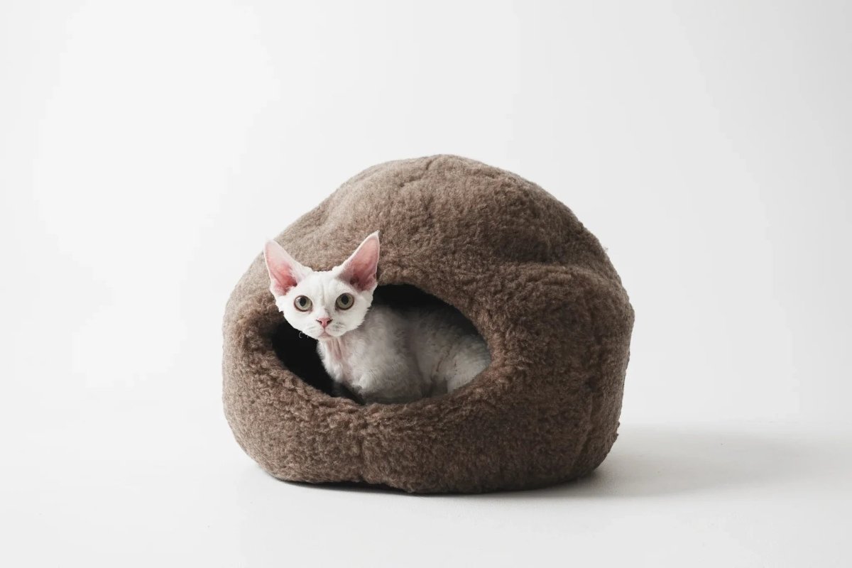 all dogs products all cats products all small animal products
