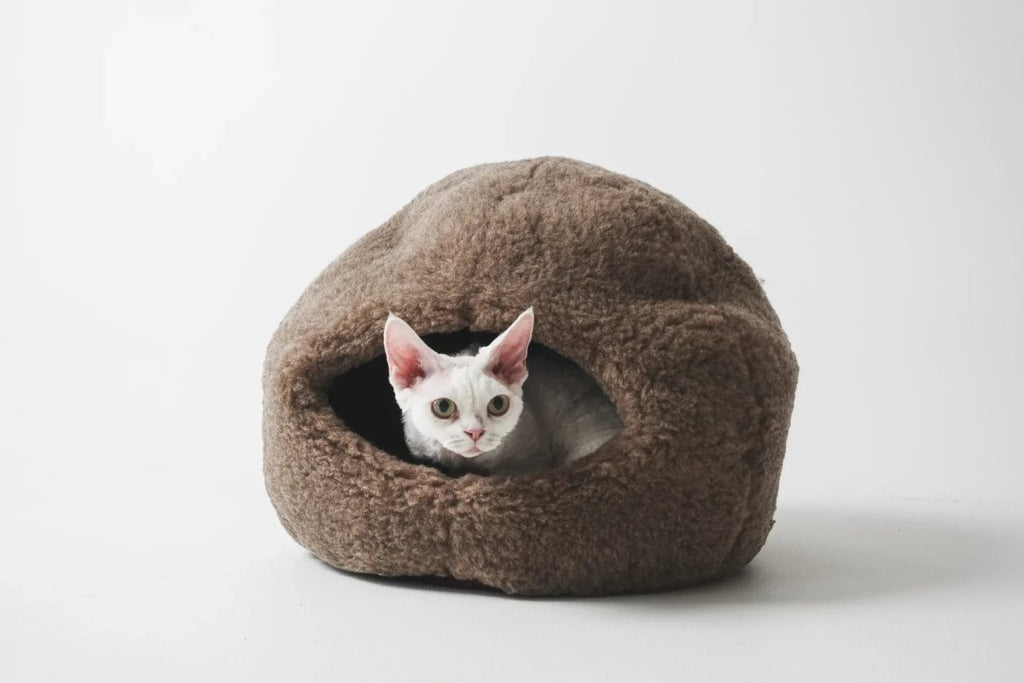 all dogs products all cats products all small animal products