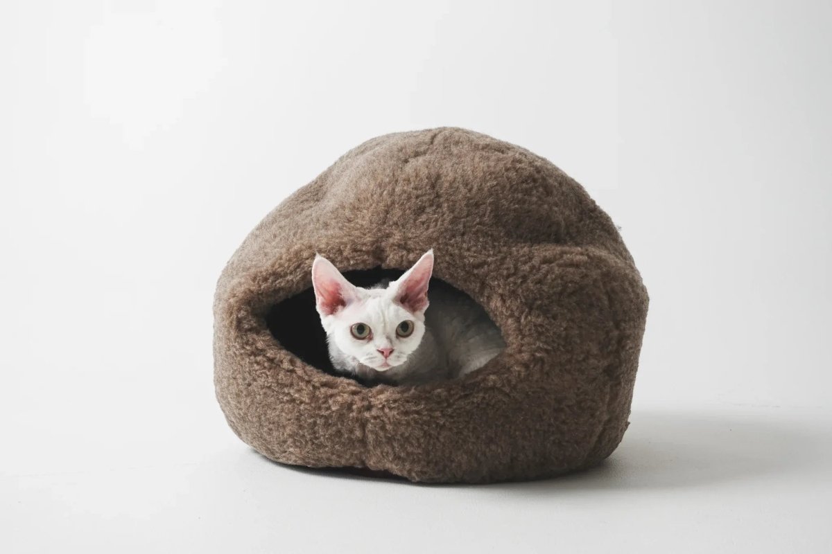 all dogs products all cats products all small animal products