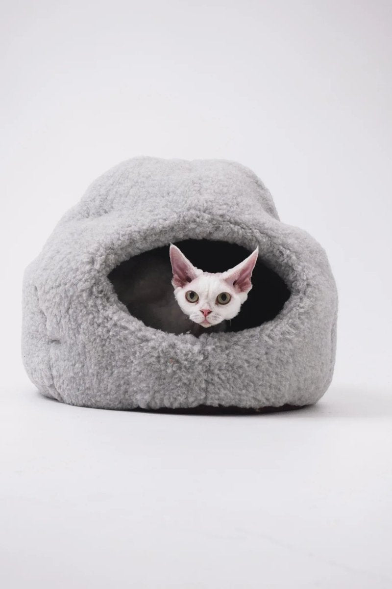 all dogs products all cats products all small animal products