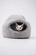all dogs products all cats products all small animal products