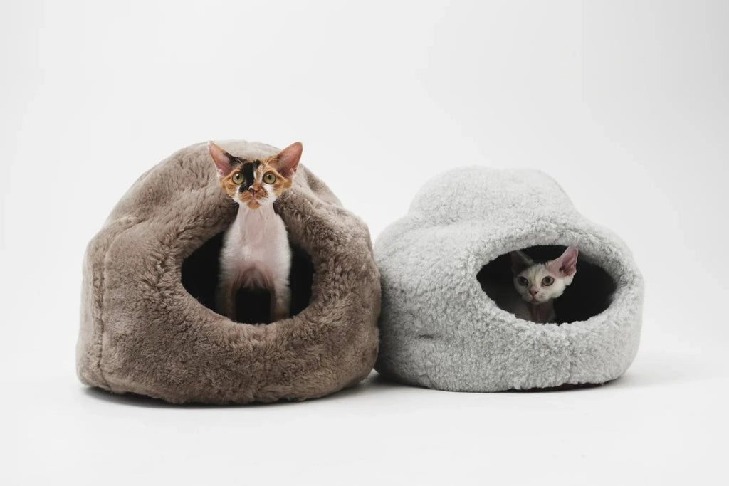 all dogs products all cats products all small animal products