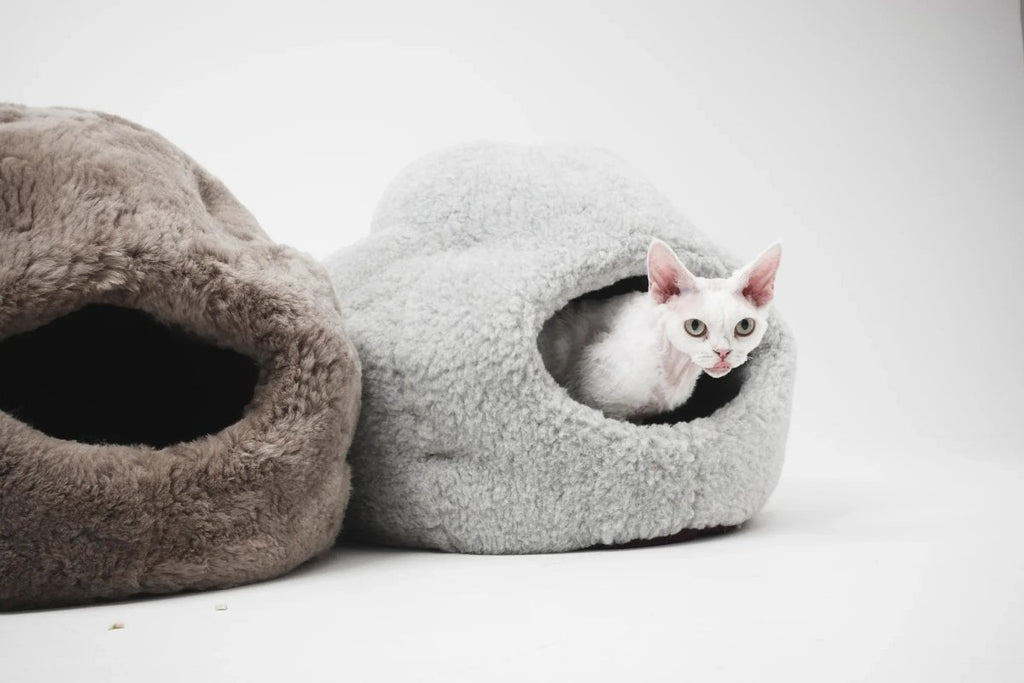 all dogs products all cats products all small animal products