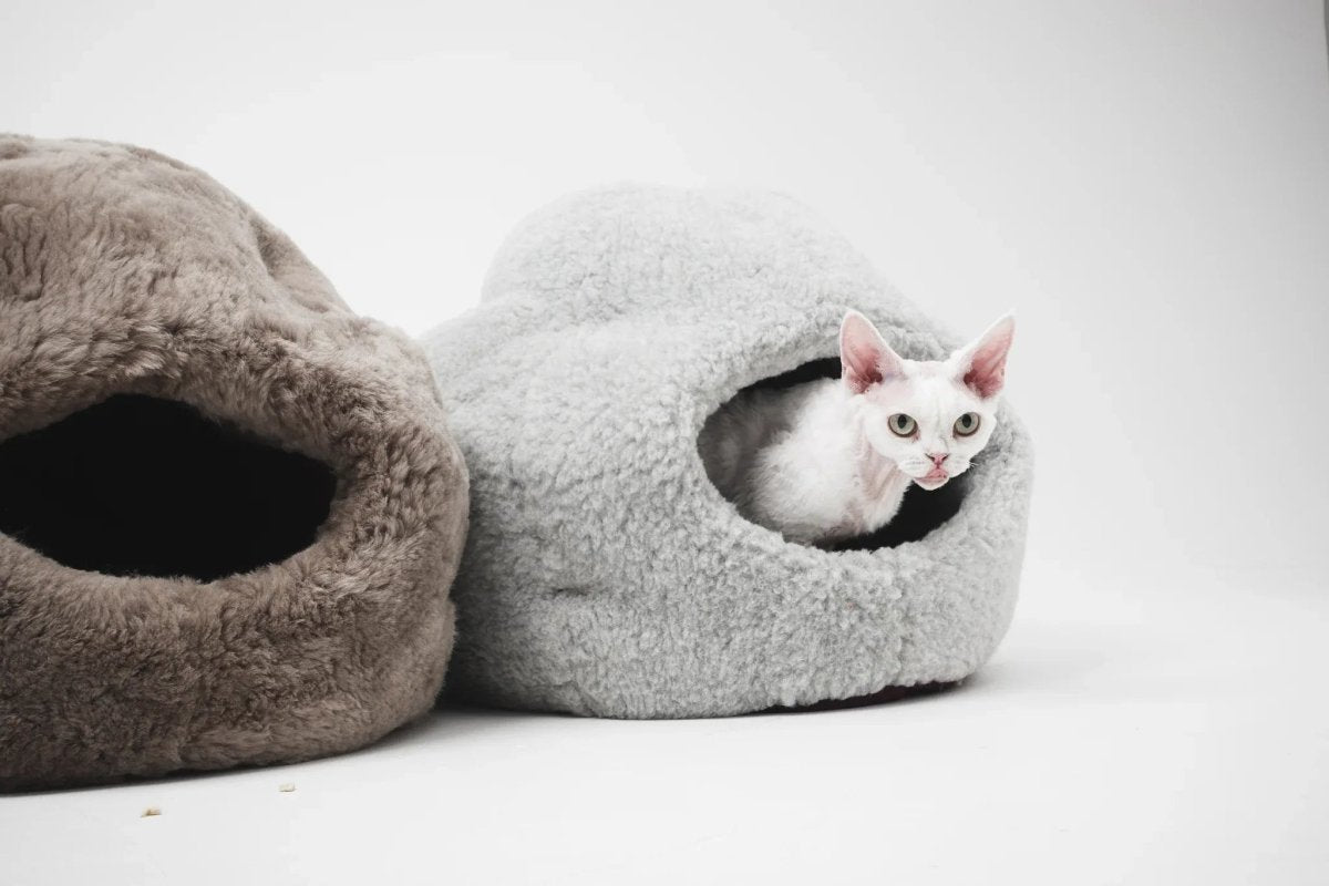 all dogs products all cats products all small animal products
