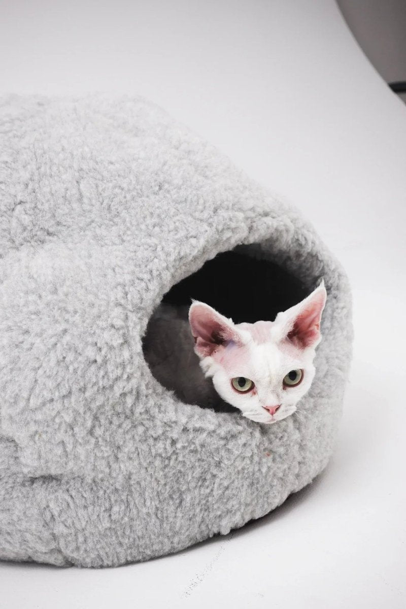 all dogs products all cats products all small animal products