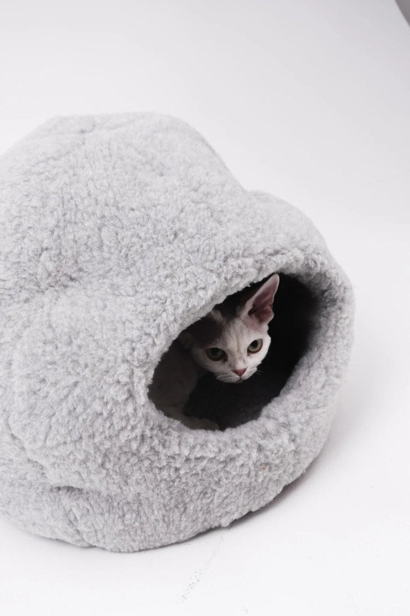 all dogs products all cats products all small animal products