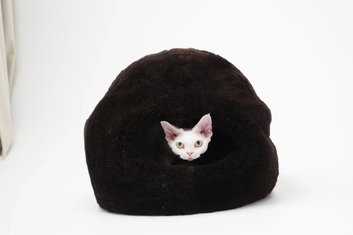 all dogs products all cats products all small animal products
