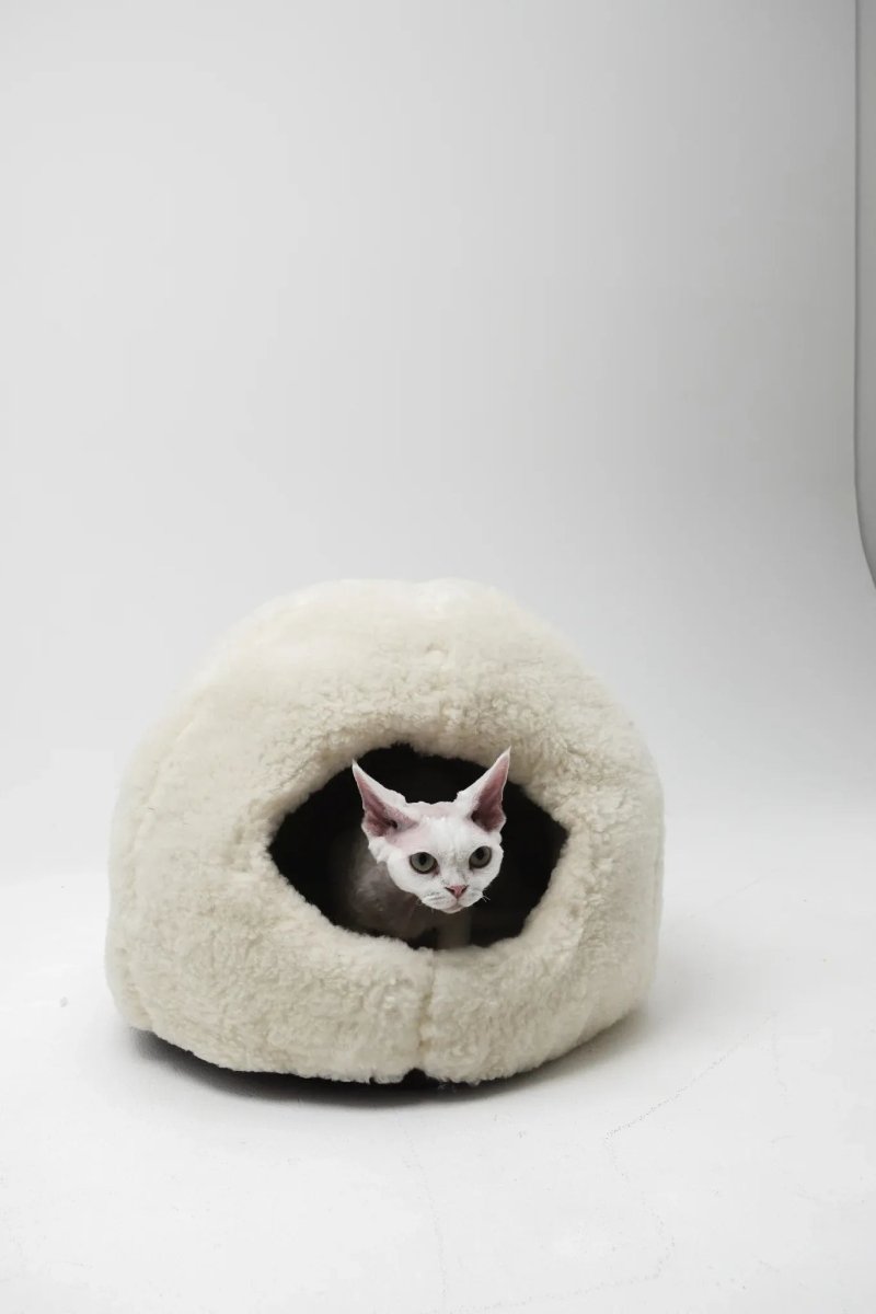 all dogs products all cats products all small animal products