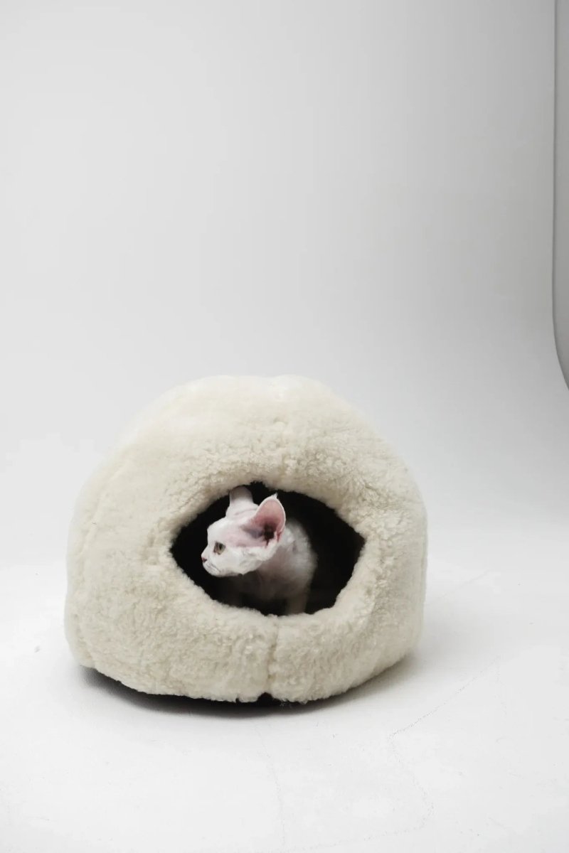 all dogs products all cats products all small animal products