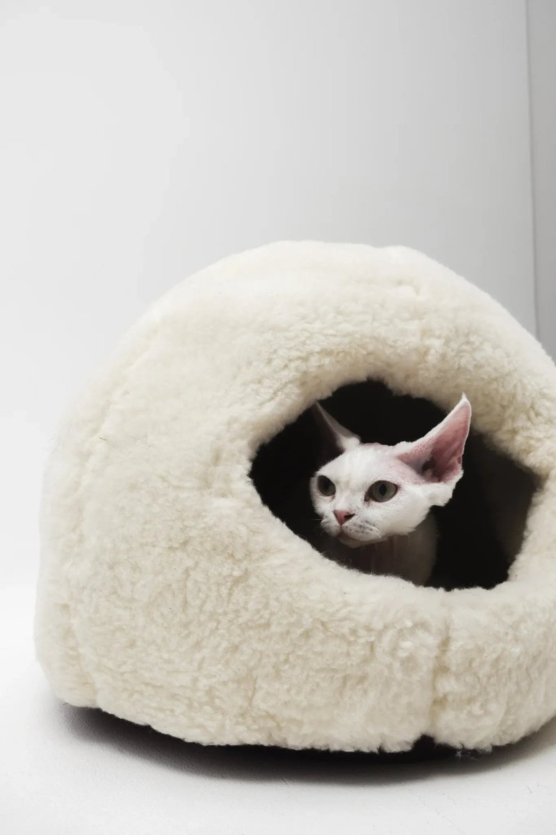 all dogs products all cats products all small animal products